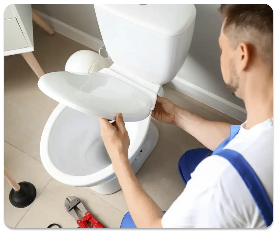 Toilet Replacement